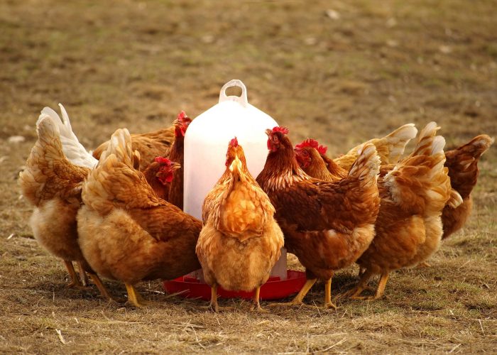 Ferdinand Stükerjürgen Unternehmensgruppe